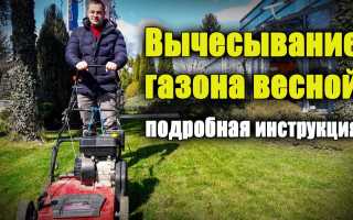Аэрацией газона пренебрегать нельзя, это важно для здоровья