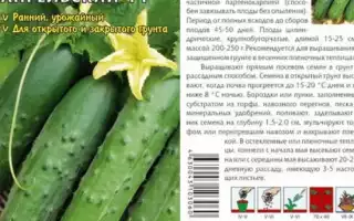 Сортовые особенности «Апрельского» огурца для садоводов-любителей