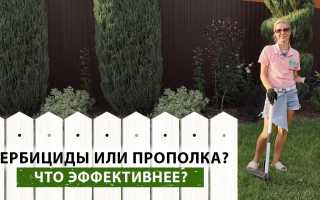 Эффективные методы избавления газона от сорняков в вашем саду