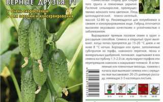 Отзывы и описание огурцов Верные друзья — особенности и преимущества