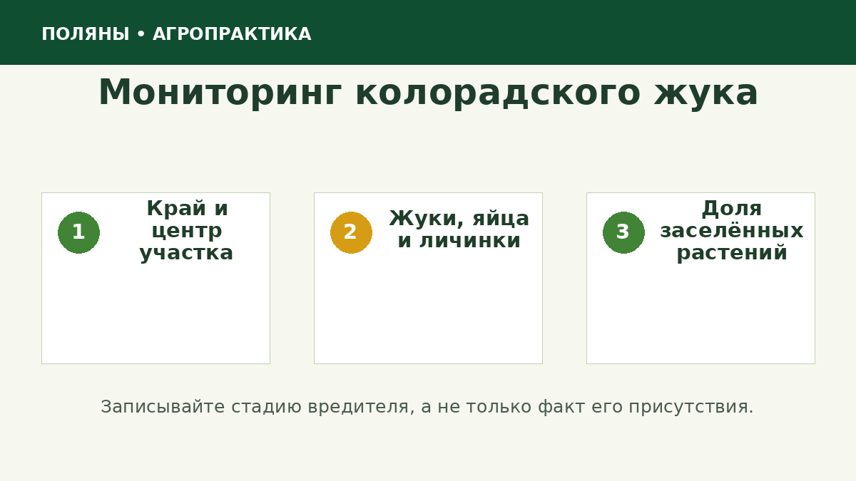 Схема мониторинга колорадского жука на картофеле