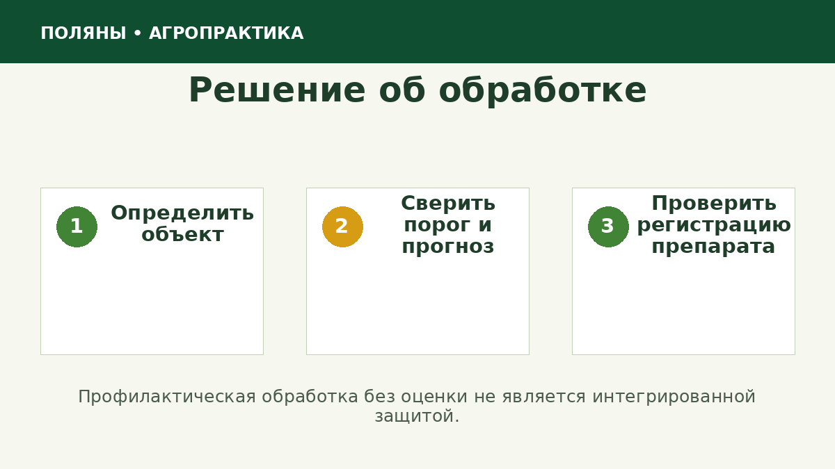 Этапы решения о защите картофеля от вредителей