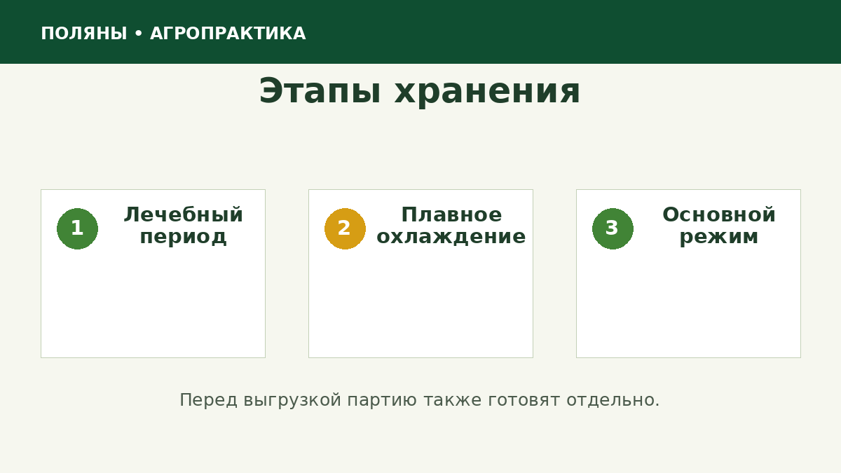 Последовательность этапов хранения картофеля