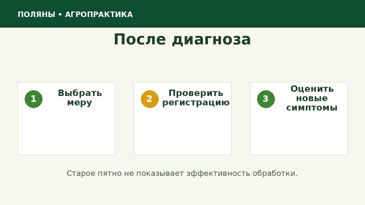 Алгоритм защиты растений после диагностики