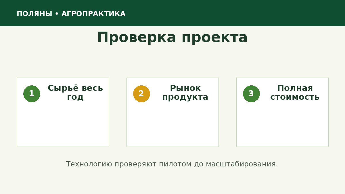 Экономическая проверка проекта переработки