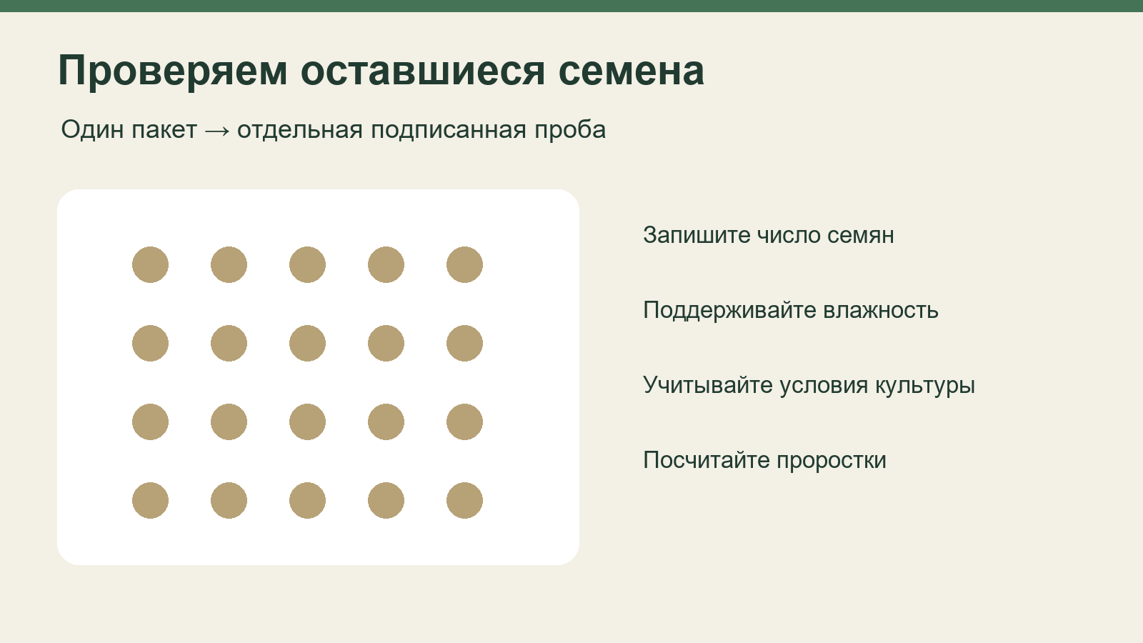 Домашняя проверка семян: отдельная проба, влажность и подсчёт