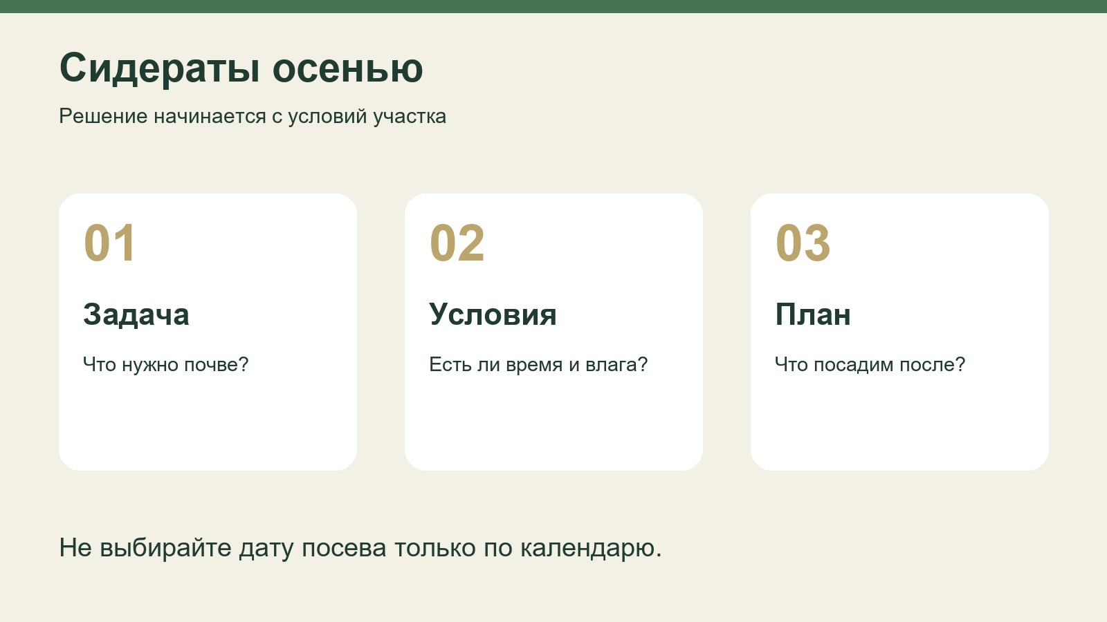 Три шага выбора сидератов: задача, условия и следующая посадка